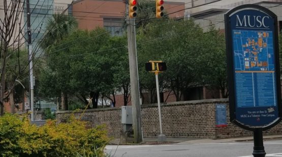 a photo of MUSC campus
